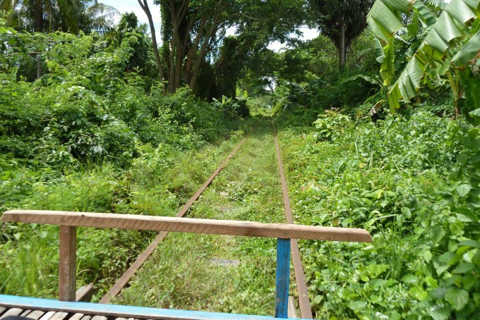 train de bambou
